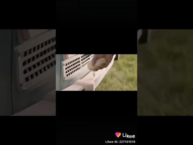 КУЧКАК ТВ(11)