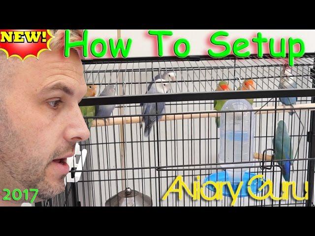 How to Setup a cage for Pet Lovebirds ! Lovebird care 2020 !