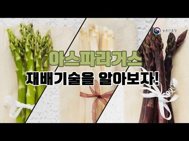 아스파라거스 재배기술을 알아보자!