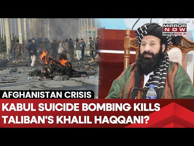 Taliban's Khalil Haqqani Killed In Kabul Suicide Bombing| Power Struggle In Afghanistan? What Next?