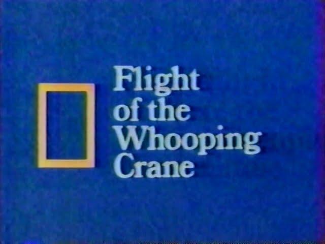 Flight of the Whooping Crane (1984)