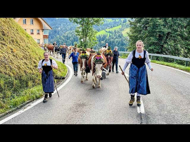 Alpabzug der Familie Haldimann