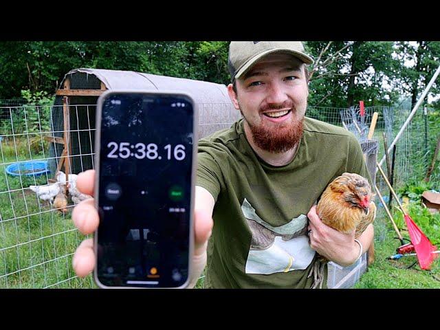 Morning Chores on a SMALL HOMESTEAD