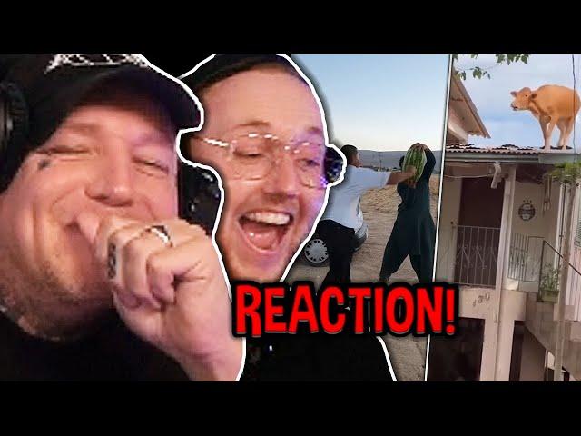 TRY NOT TO LAUGH mit Monte & @zarbexlive  Unusual Memes Reaktion | MontanaBlack Reaktion