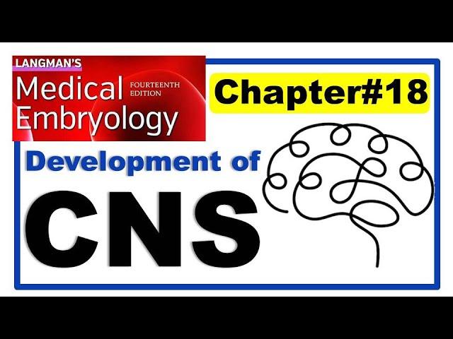 Langman Chapter#18 | Development of Central Nervous System | Embryology | Dr Asif Lectures