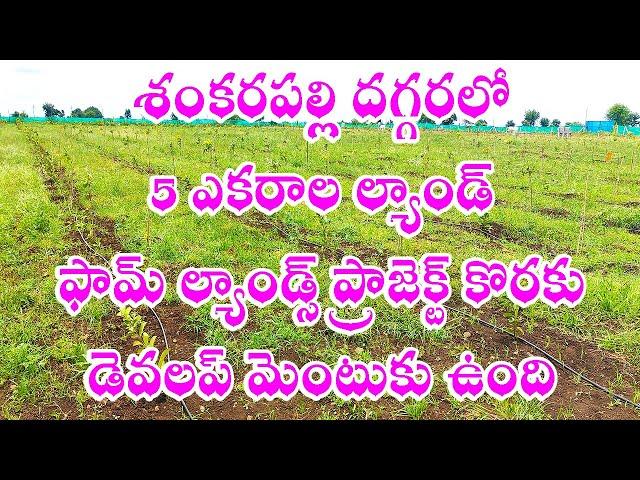 Farm Lands Development Lands Near Shankarpally 9063831413 Hyderabad Best Real Estate Business Area