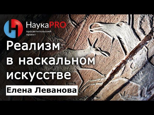 Реализм и красота в наскальном искусстве – Елена Леванова  | Лекции по археологии | Научпоп