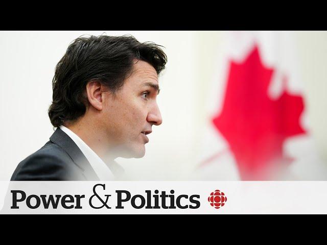 Will the end of NDP's deal with Liberals mean an early election? | Political Pulse Panel