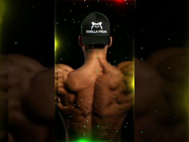 # GYM RINGTONE #  IMAGING  GYM LOVER AMRESH MAURYA