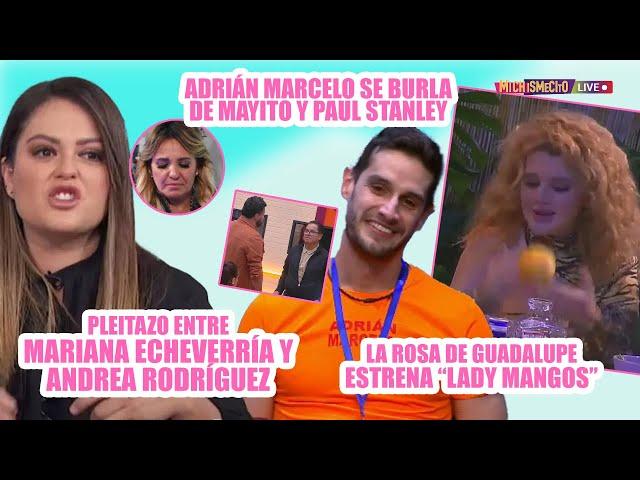 Pleitazo entre Mariana Echeverría y Andrea Rodríguez /MICHISMECITO