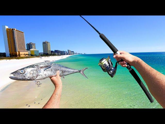 Fishing 3 Piers in 3 Days and Eating Everything We Catch! (Almost)