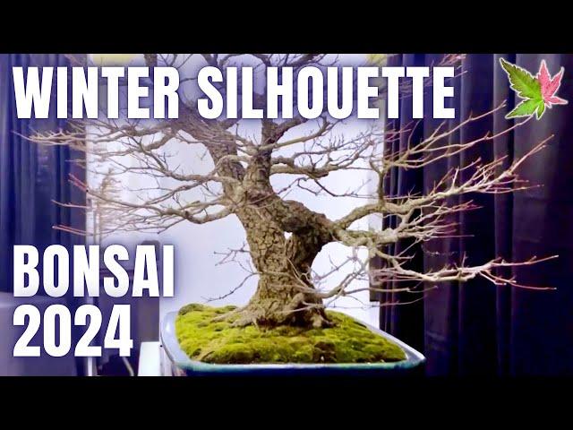 Winter Silhouette Bonsai Show 2024