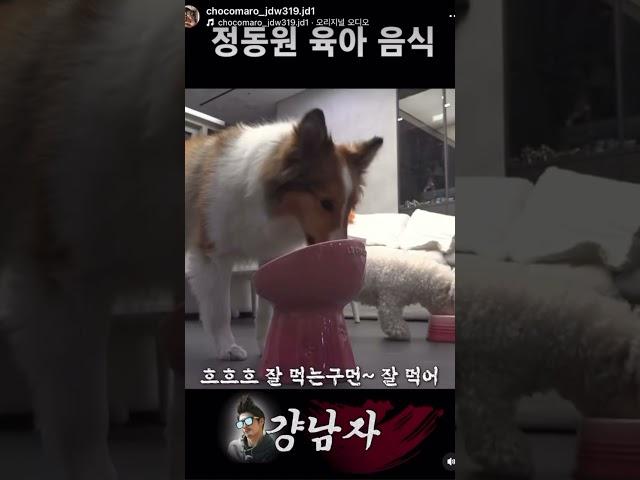 #정동원 #테디베어를 위한 요리시작#초코마로님인별 #걍남자출처