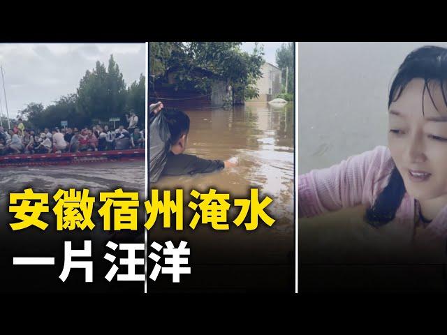 暴雨襲擊安徽蕭縣 洪水淹沒房屋農田 一片汪洋｜ #人民報