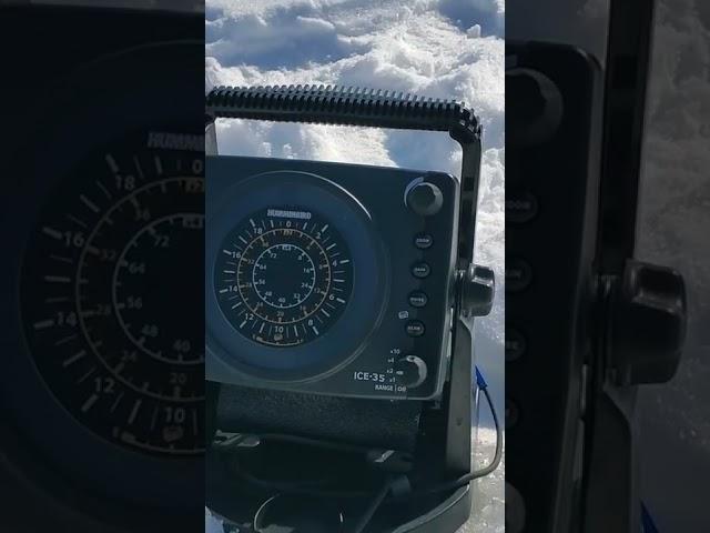 HUMMINBIRD ICE 35 IS THE BEST FLASHER