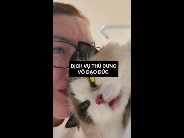 DỊCH VỤ THÚ CƯNG VÔ ĐẠO ĐỨC ĐÃ KHIẾN MÈO MÌNH QUA ĐỜI NHƯ THẾ NÀO ️