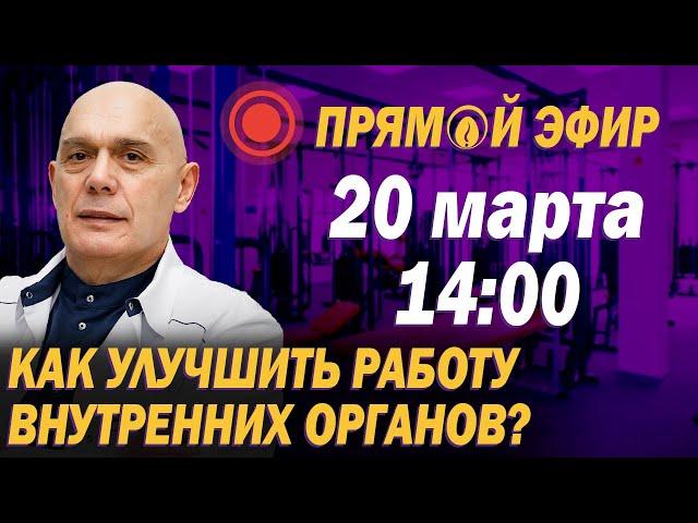 Как мышцы влияют на внутренние органы? Упражнения для улучшения работы органов