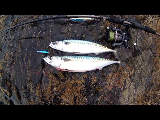 Shore Fishing - Jigging Jigs for Mackerel - Sink and Draw - Beginners Guide