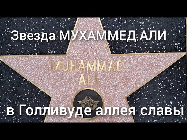 Hollywood "аллея славы". звезда МУХАММЕДА АЛИ