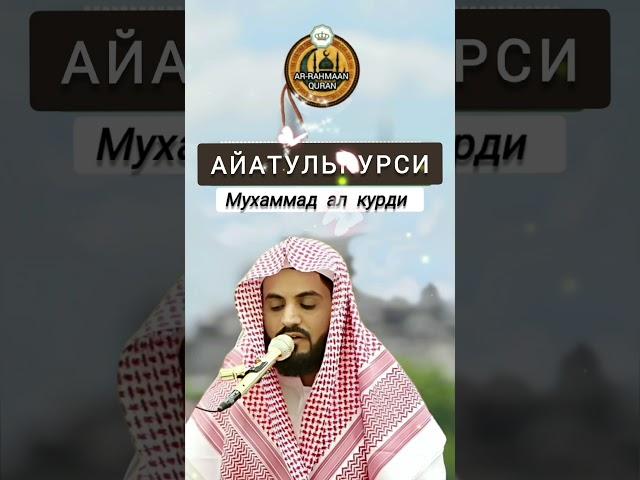 Мухаммад ал курди Айатулкурси красивое чтение коран слушайте коран и сохранять молчание #коран#сура