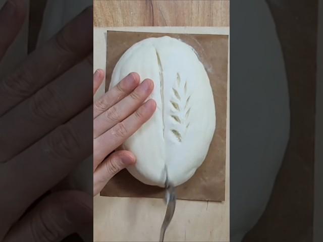 sourdough baking#sourdough#sourdoughtips#홈베이킹#사워도우