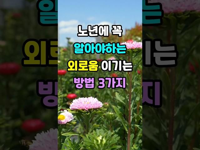 노년에 꼭 알아야하는 외로움 이기는 방법 3가지 #노후지혜 #삶의지혜 #인생조언 #명언 #좋은글