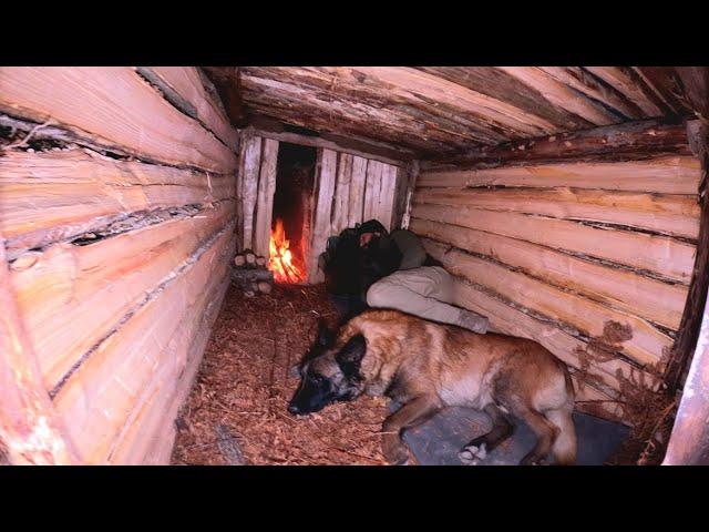 Building Underground Bushcraft Shelter With Fireplace, Survival Camping, Outdoor Cooking, Asmr, Diy