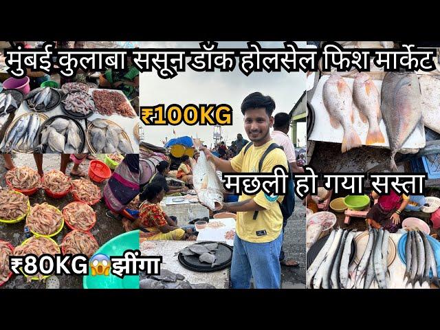 Mumbai Colaba Fish Market | Sassoon Dock Fish Market Latest Video | Colaba Wholesale Fish Market