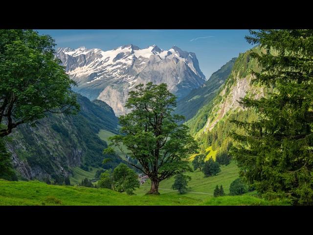 Most beautiful mountain hikes in Switzerland - Planplatten Tannalp Engstlensee