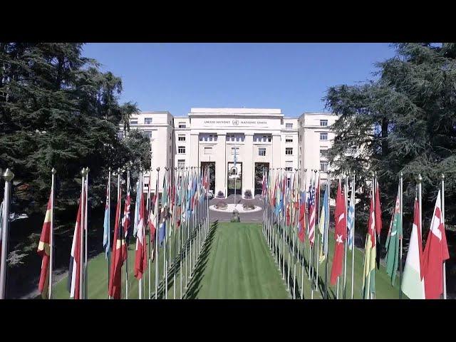 Member States of the World Health Organization have had a crucial role throughout WHO's history