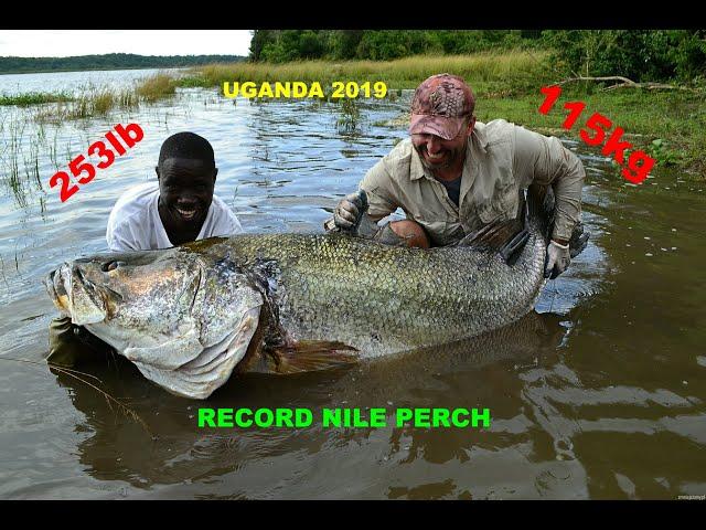 253lb MONSTER RECORD NILE PERCH-195cm,115kg