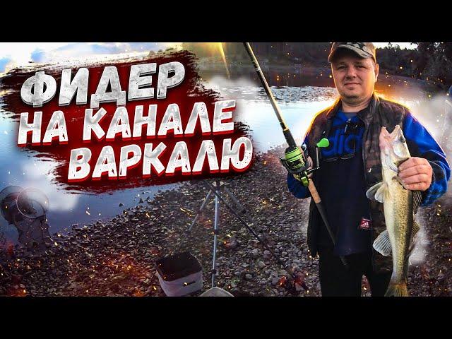 Приехали ловить ЛЕЩА а попался СУДАК, ЛИНЬ, ПЛОТВА, ЛЕЩИ тоже | Brekšu cope, Varkaļu kanāls