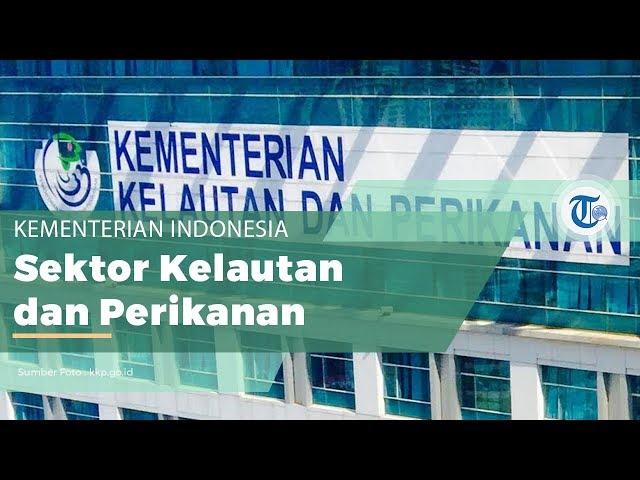 Kementerian Kelautan dan Perikanan, Kementerian di Sektor Kelautan dan Perikanan