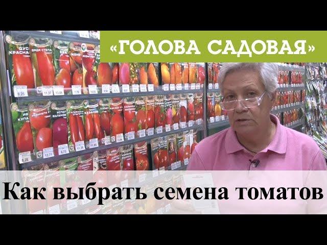 Голова садовая - Как выбрать семена томатов