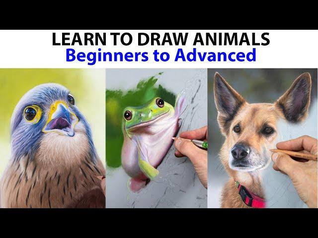 Learn to draw animals, Beginner /Advanced Pastel lessons -Professional artist - Jason Morgan