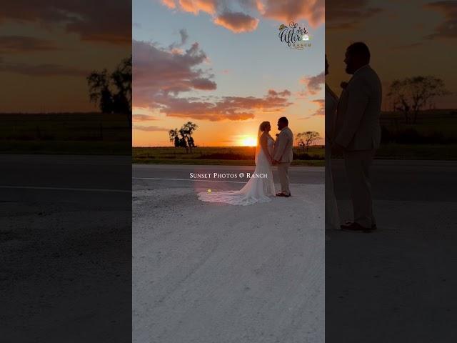 Golden hour magic at the Ranch Barn #everafterfarms  #floridaweddingvenue  #weddingbarns  #wedding