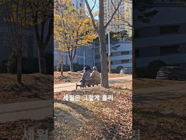 [임영웅60대 노부부이야기]세월은 그렇게 흘러 여기까지 왔는데 인생은 그렇게 흘러 황혼에 기우는데~~️