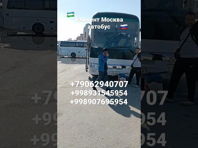 #ташкент #москва #автобус #узбекистан #россия #автобус