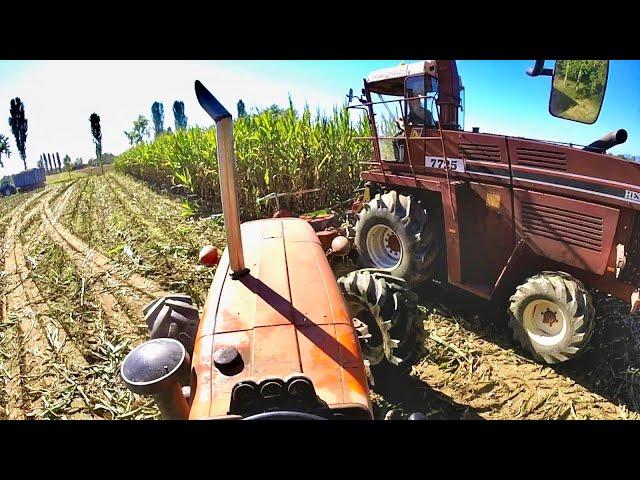 Let's Drive | Fiat 1000 Super DT - Iveco Engine 170 hp - | Mais Silage