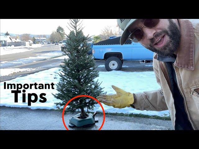  THE GREATEST Christmas Tree Stand - Tips from a Christmas Tree farmer - Krinner's Tree Stand