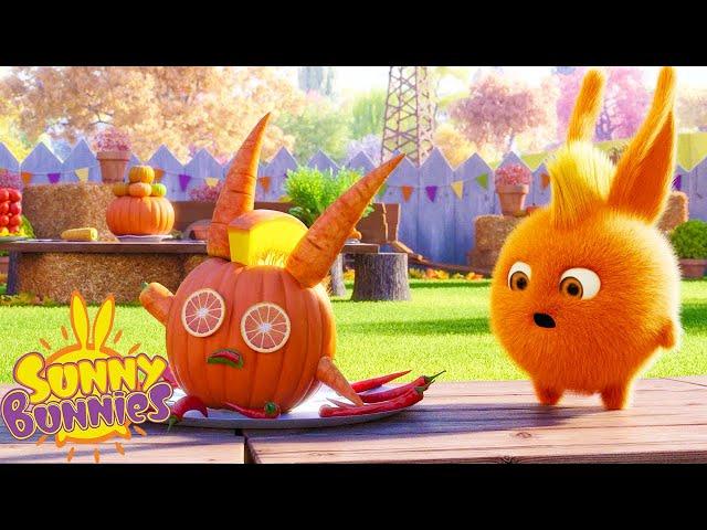 SUNNY BUNNIES - Sunny Thanksgiving | Season 4 | Cartoons for Children