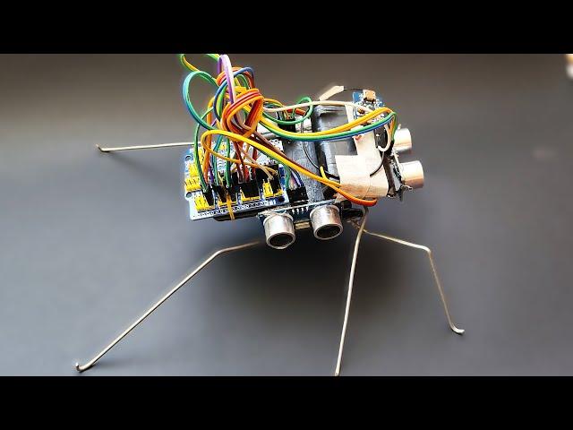 Autonomous Hexapod Insect Robot with 3 SERVOS
