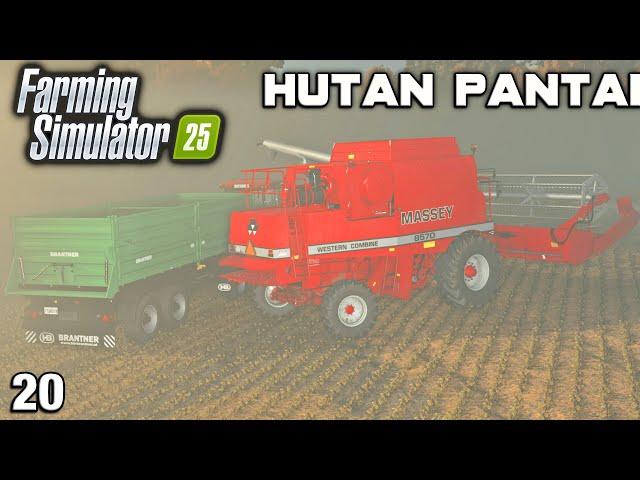 THE CARROT HARVEST IS FINALLY FINISHED - NEVER AGAIN! Hutan Pantai FS25 Ep 20