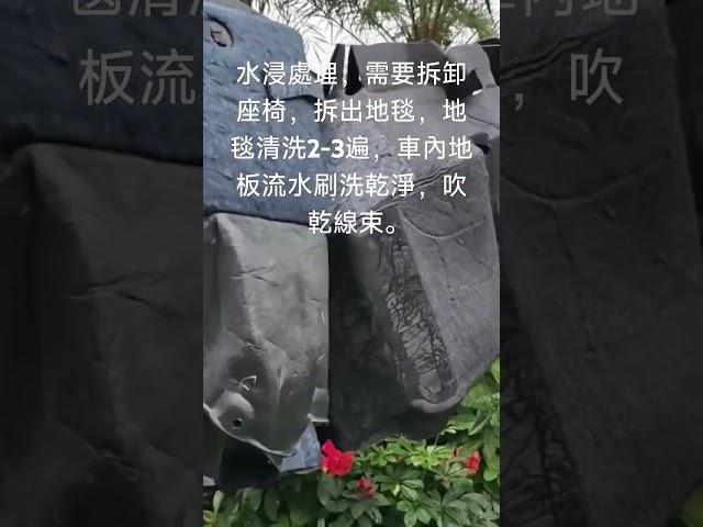 中山市三鄉鎮水浸，泡水車，輕度涉水車挽救辦法，專業的事，交給專業的人！途虎養車三鄉平東店。