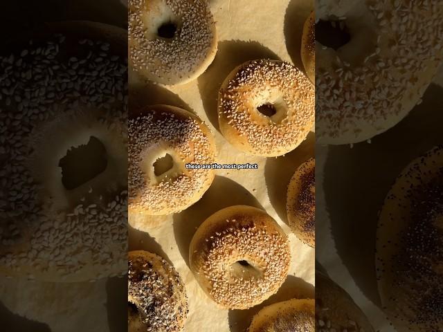 These sourdough bagels are LIFE CHANGING (and surprisingly easy to make!) Detailed how to recipe!