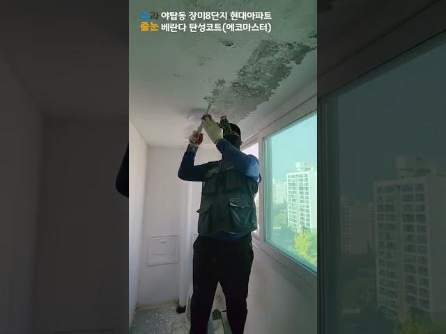 베란다탄성코트 이정도면 병걸리겠는데