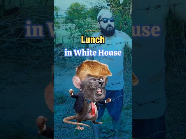 Lunch in White House | Mannu Kaushik #youtubeshorts #shorts #shortvideo #funny #comedy #comedyshorts