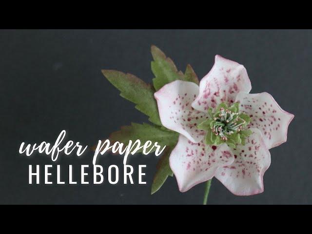 How to make Wafer Paper Hellebore (Christmas Rose) cake decor FREE TEMPLATE | Florea Cakes