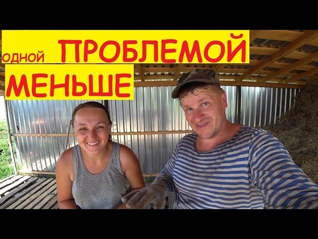 Деревенские будни / Привезли сено / Поездка за поддонами / Семья в деревне