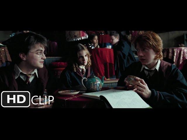 Divination Class | Harry Potter and the Prisoner of Azkaban